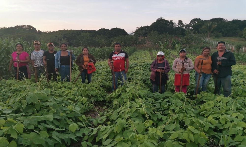 campesino, rural, comunidades