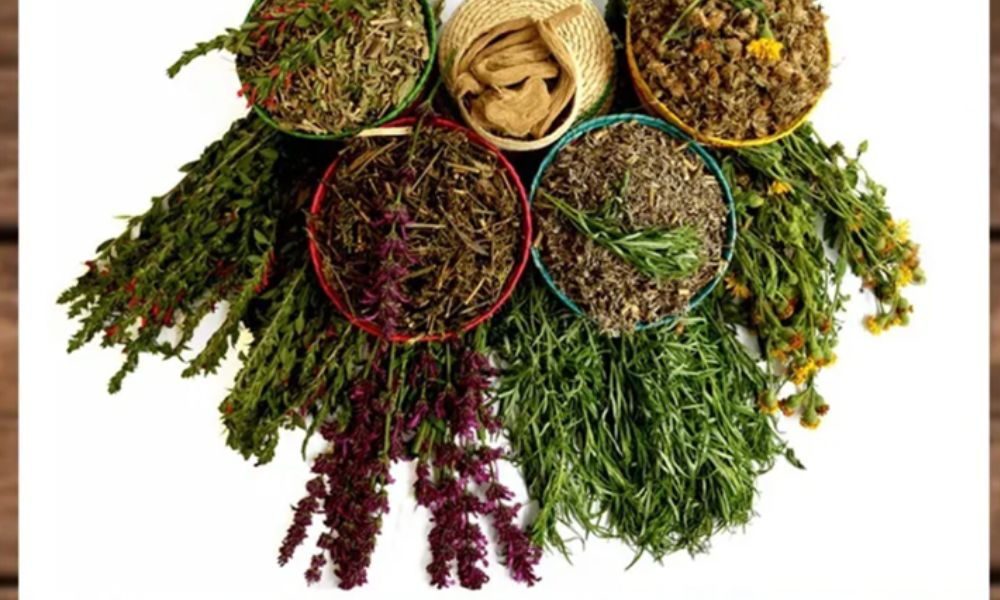 El uso de plantas medicinales es una tradición cultural de muchos pueblos alrededor del mundo.