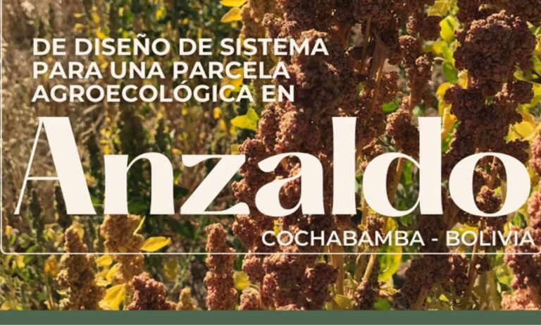 Imagen de la parcela