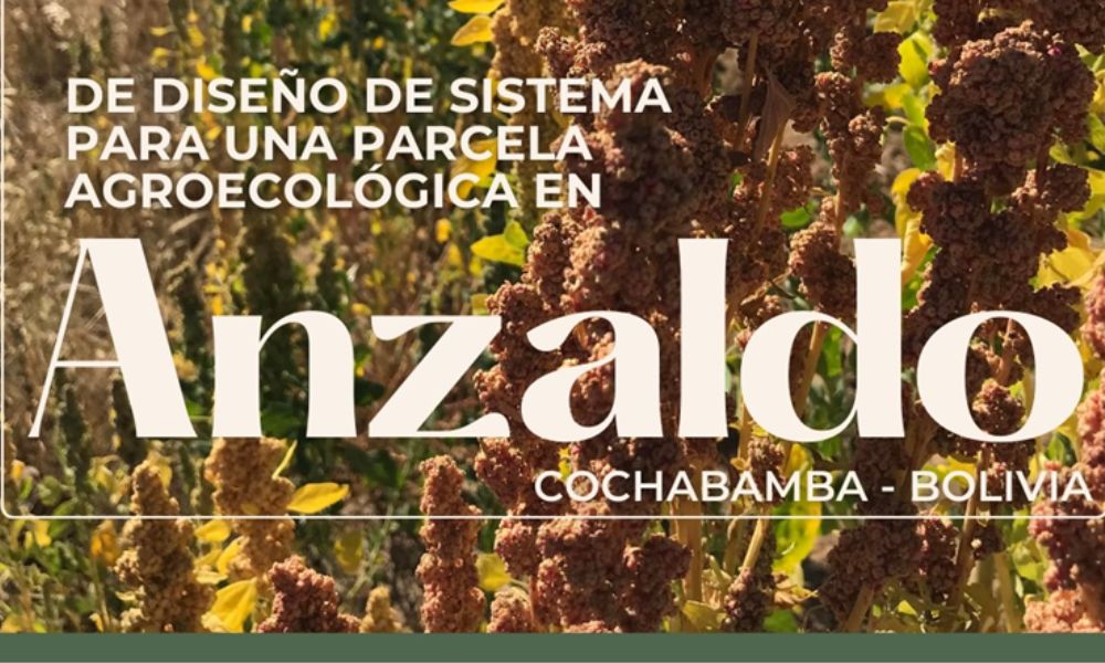 Imagen de la parcela 