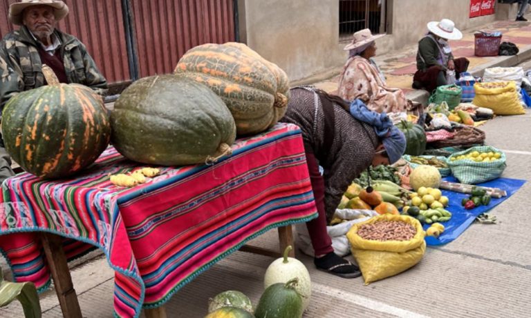 Diversidad de alimentos en feria agroecológica
