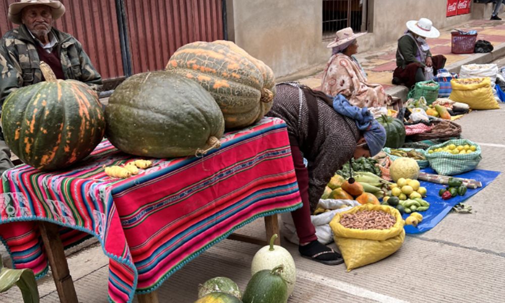 Diversidad de alimentos en feria agroecológica