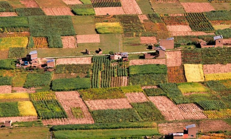 Agricultura antigua en Bolivia